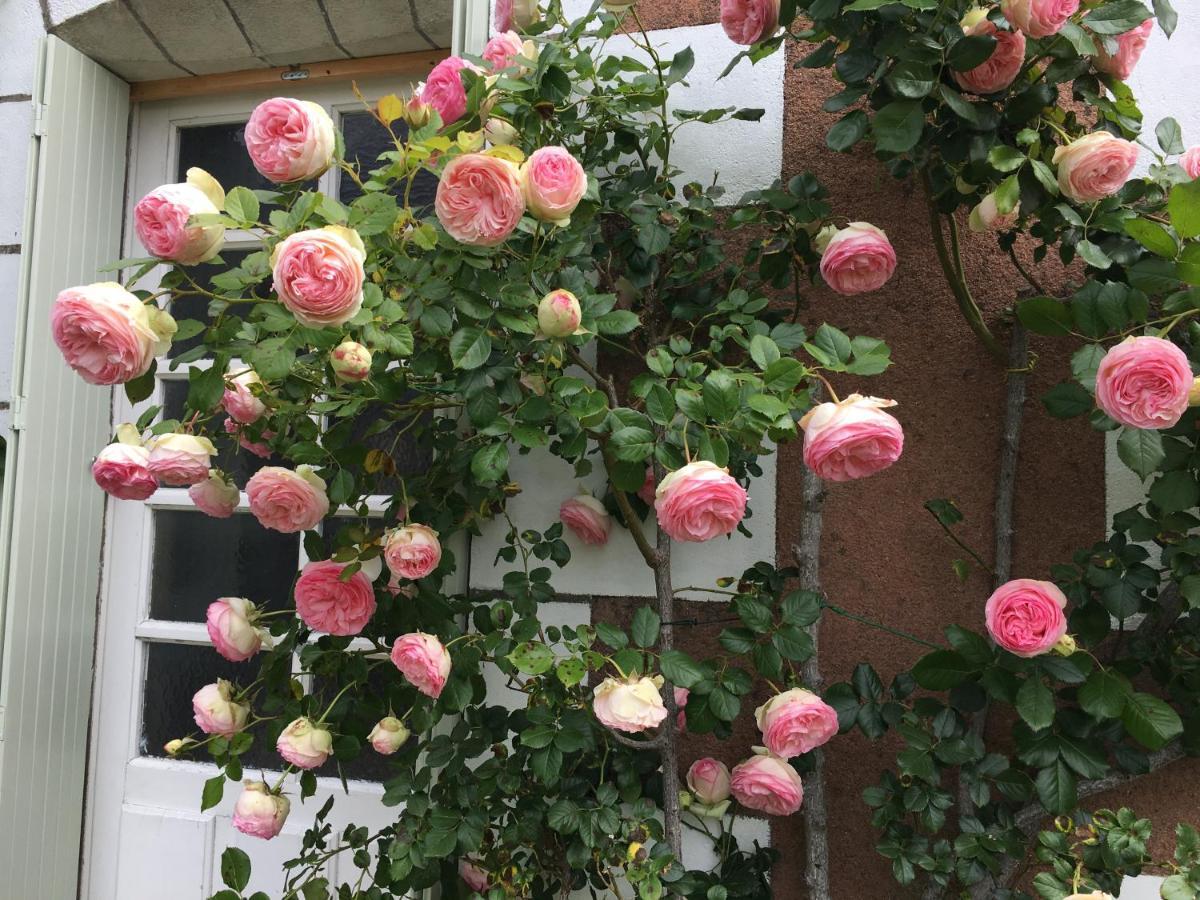 Tauxigny La Bauldiniere Bed & Breakfast エクステリア 写真